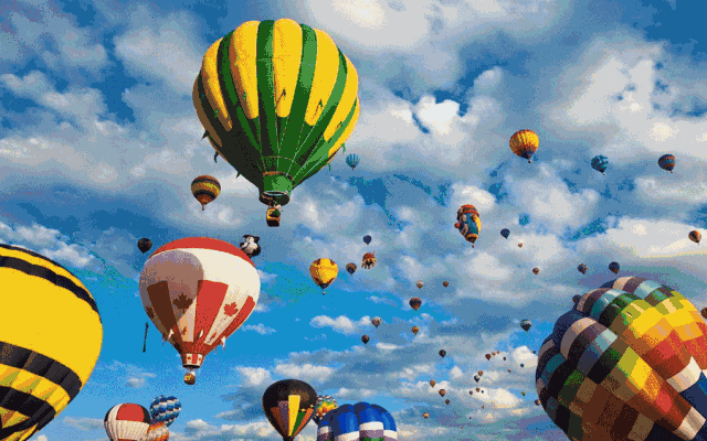 fd2af49ff080348e6f5fbfed02e66cc2.gif