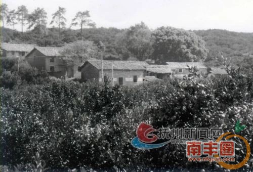 b28024f69c5cc9d3d5a87b018a74eabc.jpg