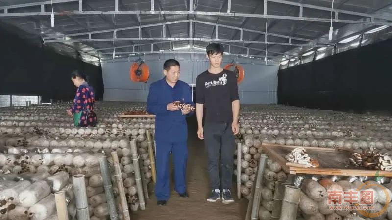 205129kmt1zth8fr6t16o2.jpg