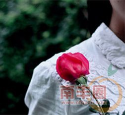 114022nxvxkkxrk8x8d1m0.jpg