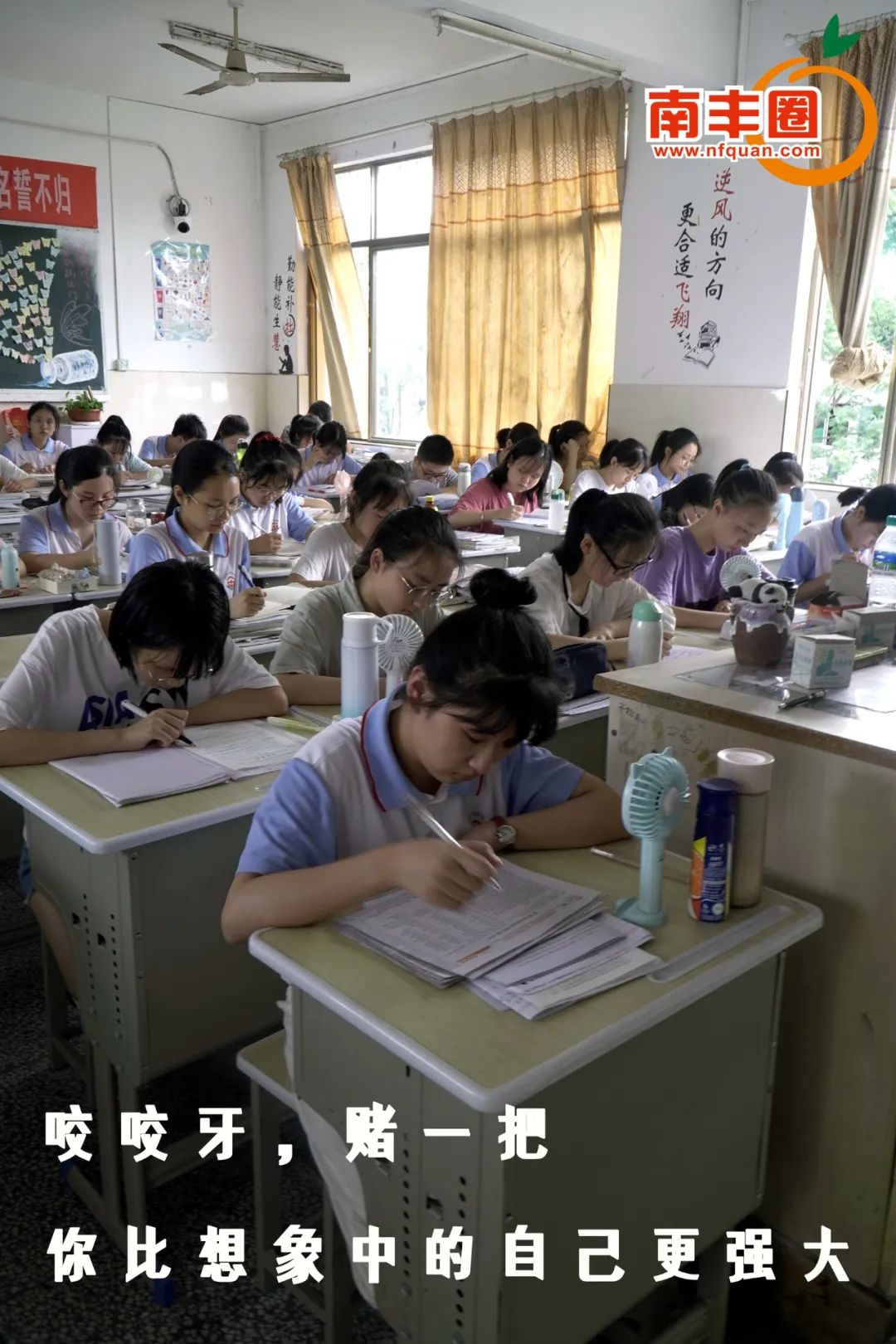 081308hpmm5kgypybao0ot.jpg