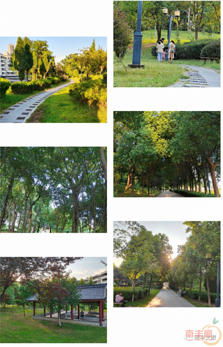 084740l7ezdmpnn2ow47d2.jpg