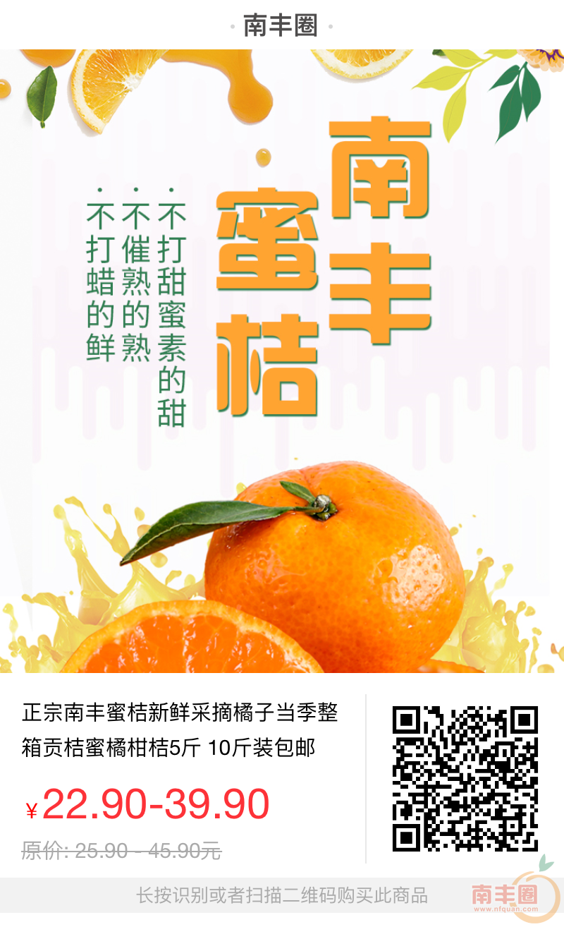 081903l3ny77kkopskse1s.jpg