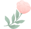 202737qjj75mnt7tkj33a9.png
