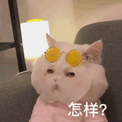 165153lqgxeshx3haashb3.gif