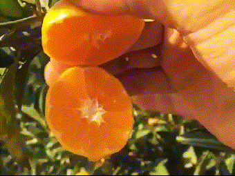 093117e9kucmzm2ez2xy6v.gif