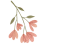 155657chblcccbpb4cyvcu.gif