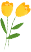 141237bqwkbk3qzxokb3kc.png