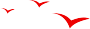 161825z7lc77c1ejgslprl.png