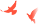 143357s2x55fxxtkv1fe4f.png