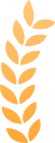112754o6uk2k00uyzyuuw2.png