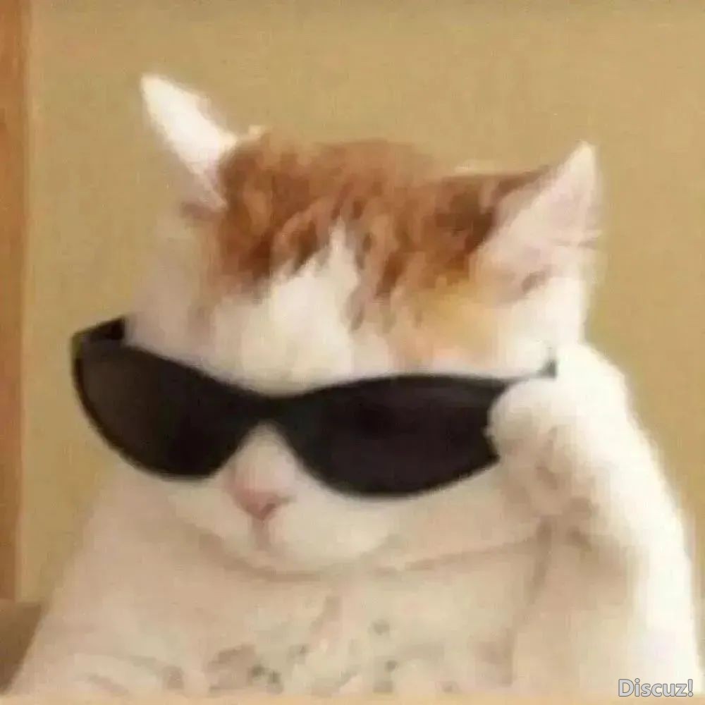 083801nlnala8xgj6ltftl.jpeg
