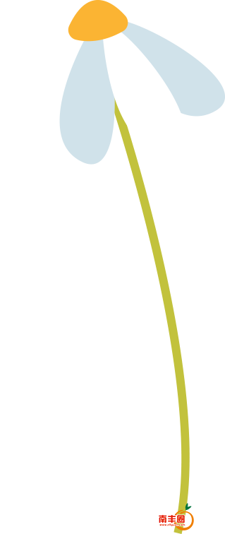 110002muse06d66dsuu63i.png